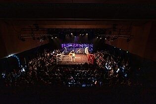 Ngaio Marsh Boxing
