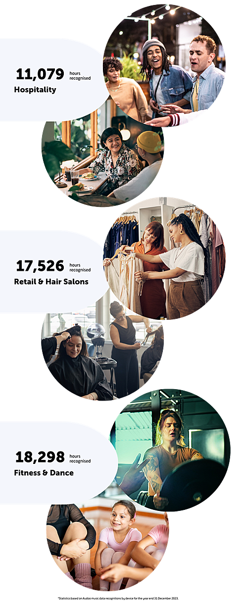 Audoo Audio Meter™ Industry Statistics
