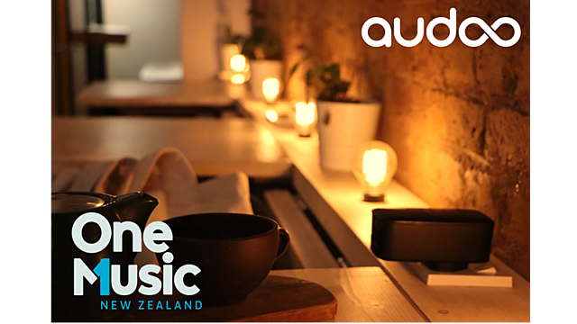 An Audoo is a device which recognises music being played in your business.